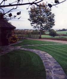 Cut lawn with stone pathway